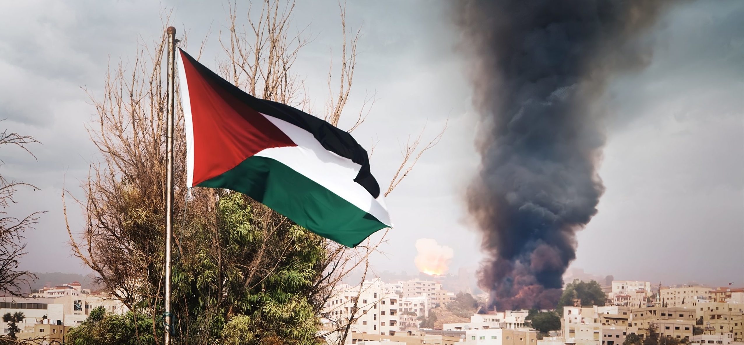 Palestine flag. Shutterstock