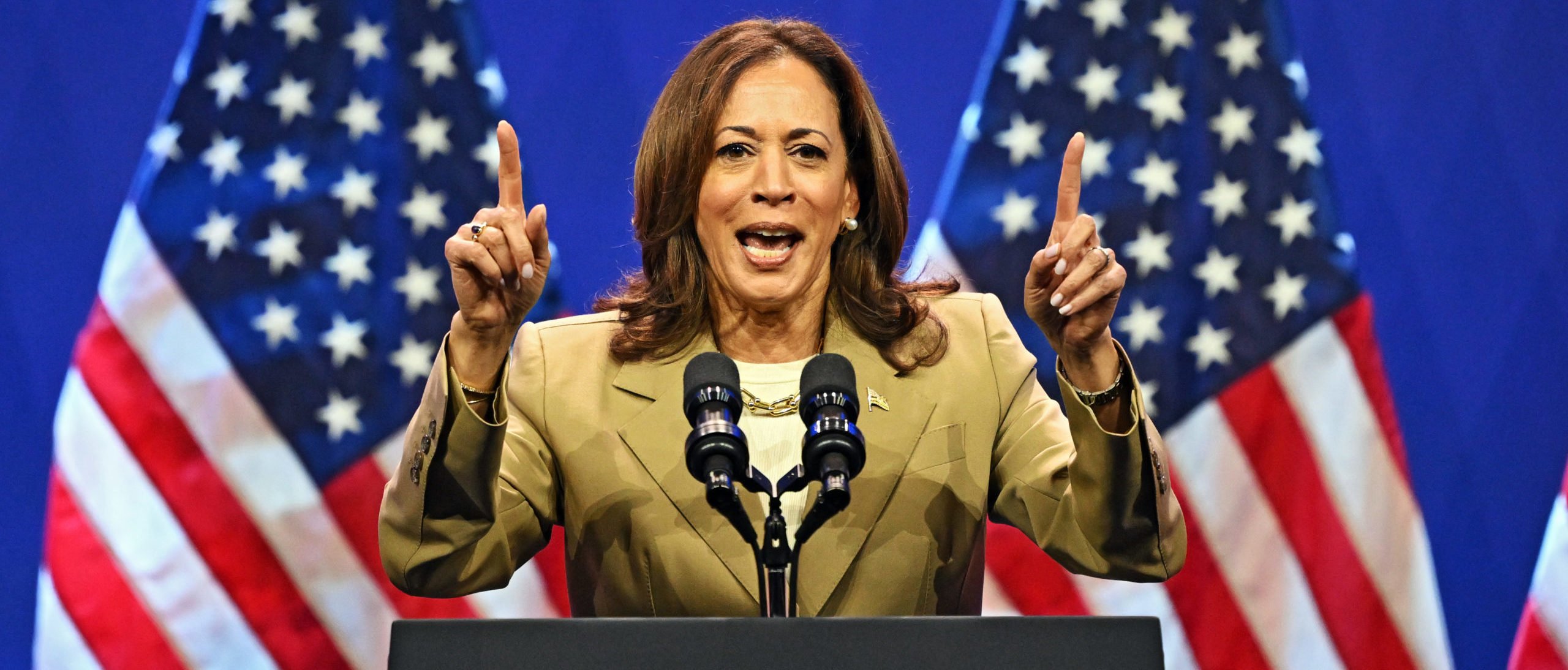 Vice President Kamala Harris speaks during a campaign event at the Asian and Pacific Islander American Vote Presidential Town Hall at the Pennsylvania Convention Center on July 13, 2024 in Philadelphia, Pennsylvania. (Photo by Drew Hallowell/Getty Images)