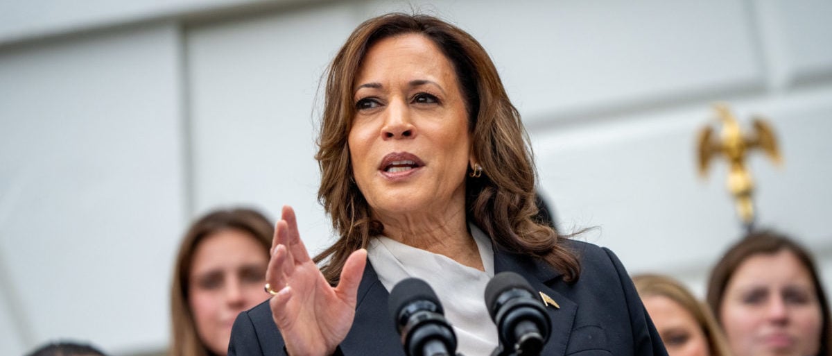 FACT CHECK: Did The Secret Service Allow Heckler To Storm Stage During Kamala Harris Interview?