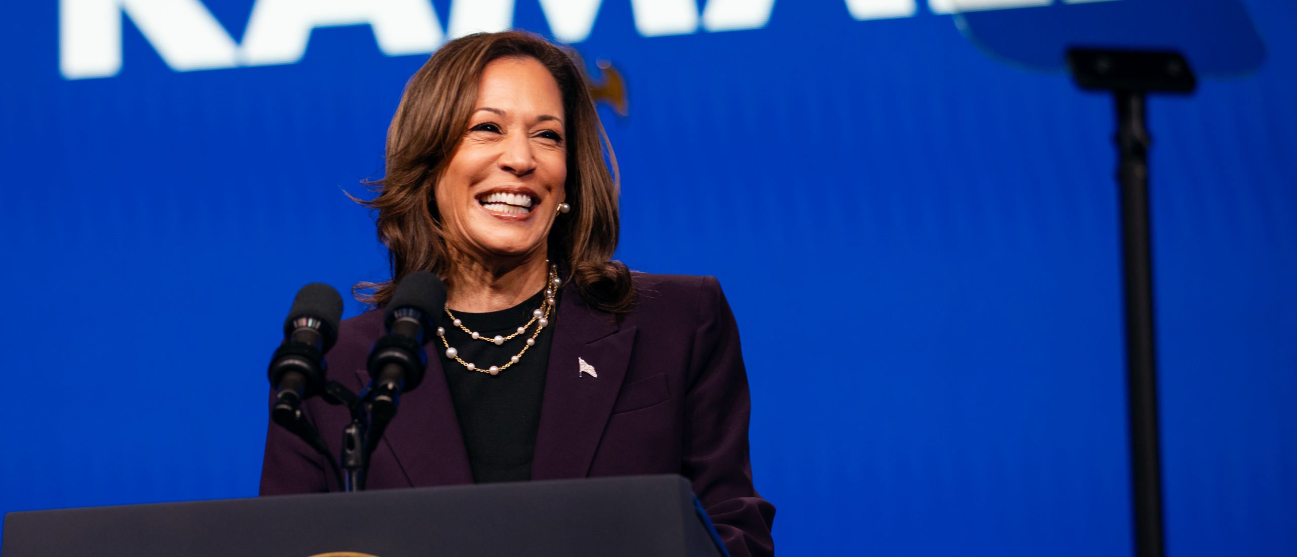 ‘What A Variety Of Whiteness We Have Here’: Hollywood Liberals, Political Elites Flock To Kamala Harris Fundraiser