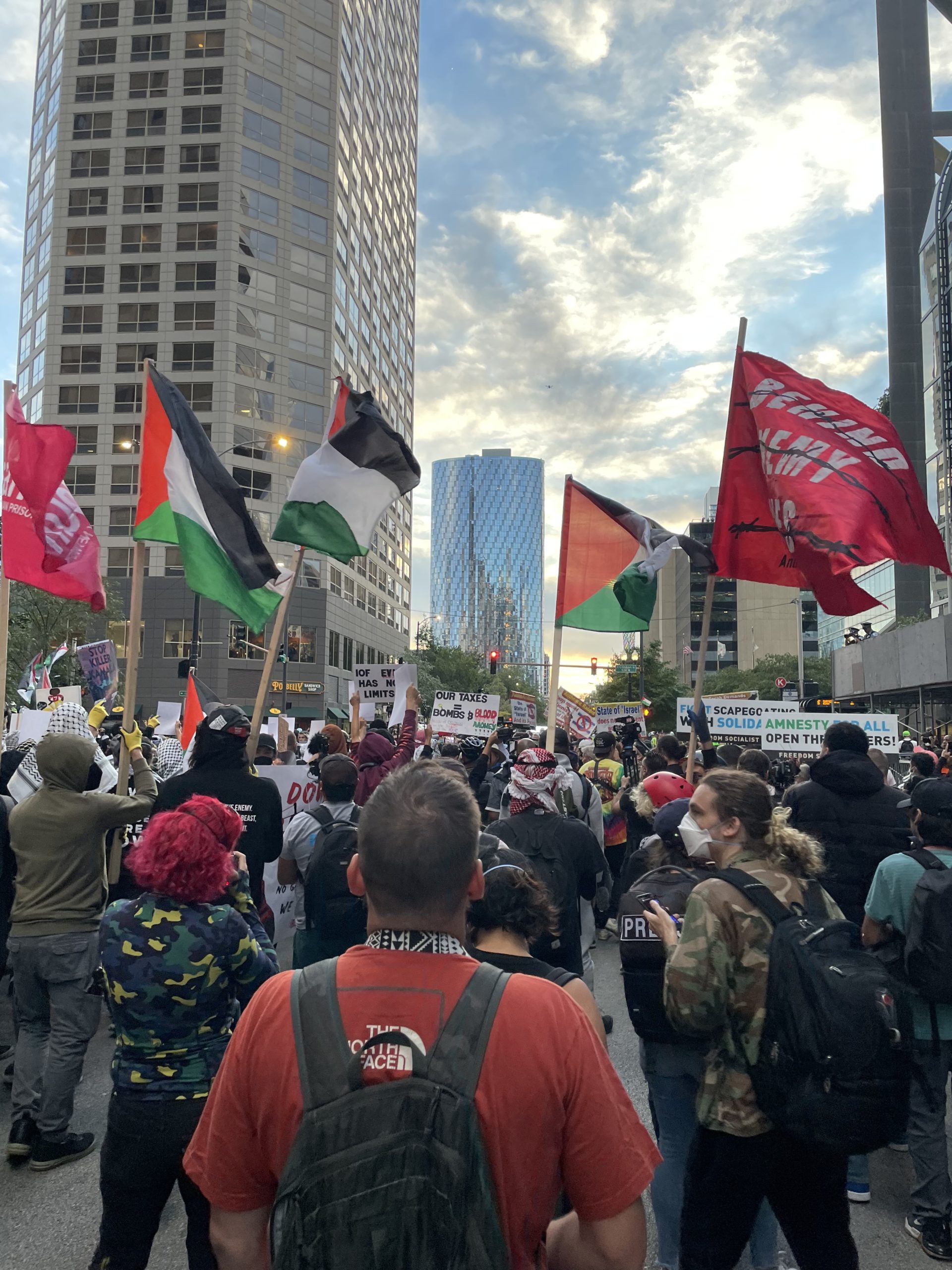 Dnc Convention 2024 Protest Gizela Verine