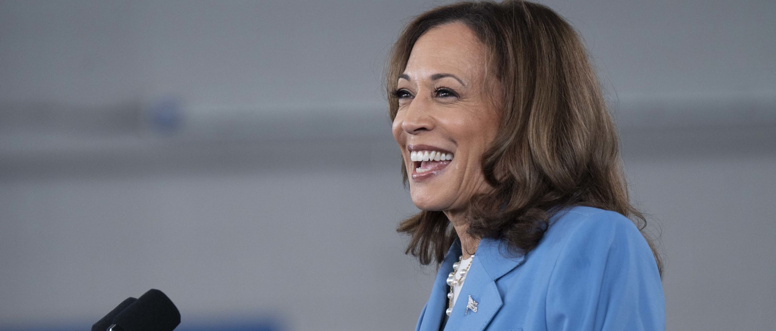 GROVER NORQUIST: Kamala's plan to make inflation worse: price controls and unbridled spending