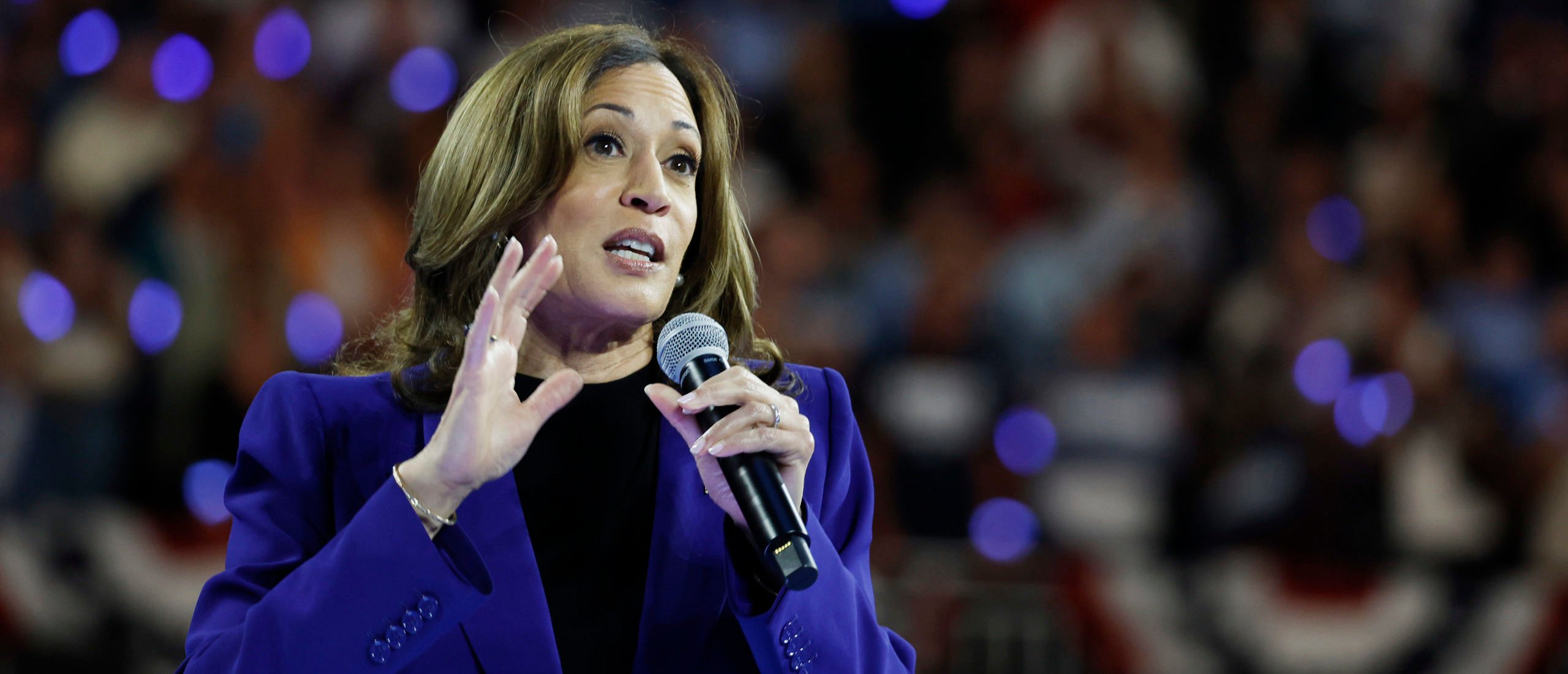 ‘Very Tough Race’: Dem Pollsters Sound Alarm On Harris’ Honeymoon