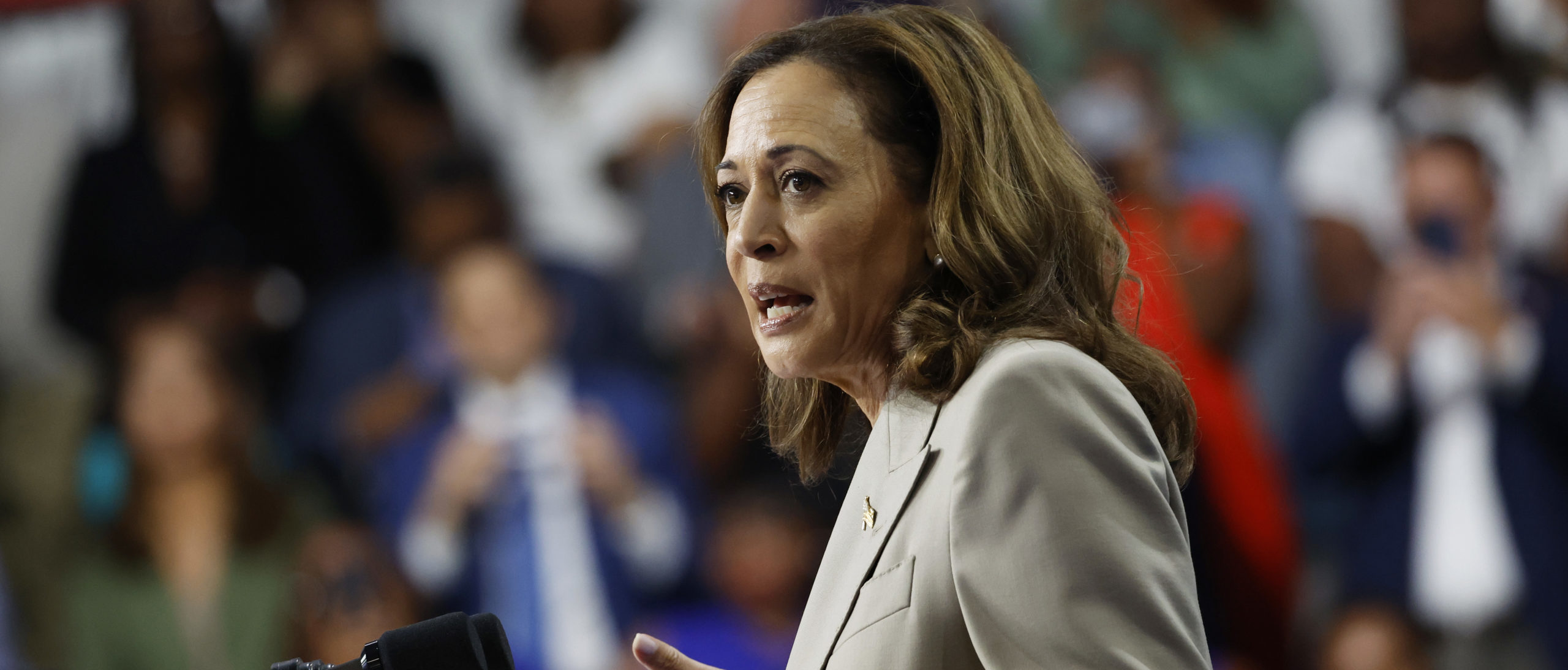 Kamala Harris, Trump in Tight Race After Debate